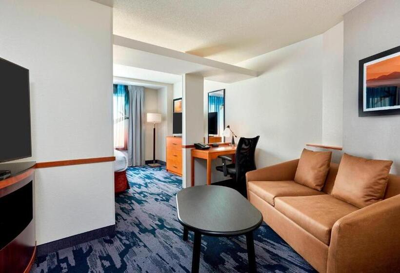 Büyük boy yataklı Standart Stüdyo, Fairfield Inn Suites Indianapolis Downtown