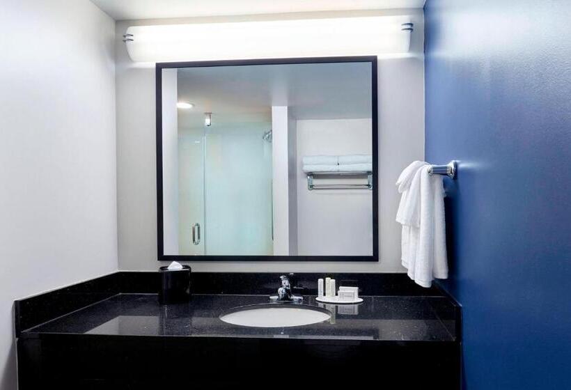 Büyük Çift Kişilik Yataklı Süit, Fairfield Inn Suites Indianapolis Downtown