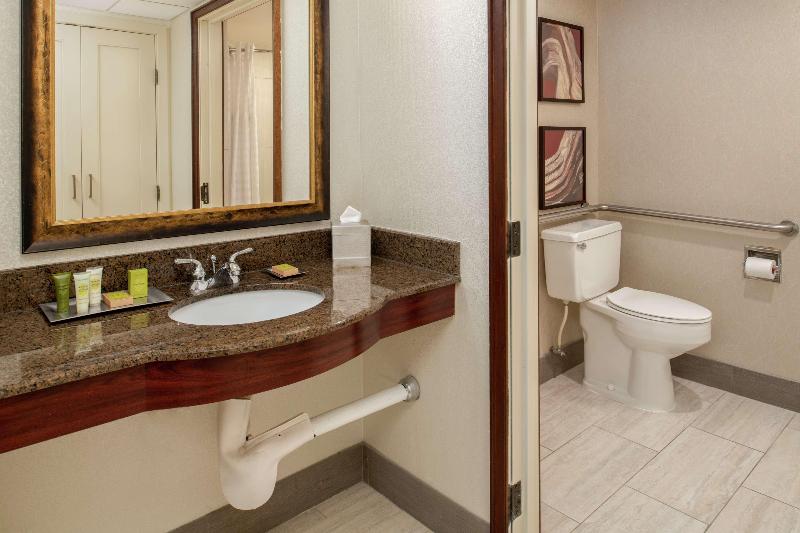اتاق استاندارد با تخت دو نفره بزرگ برای معلولان, Hilton Bellevue