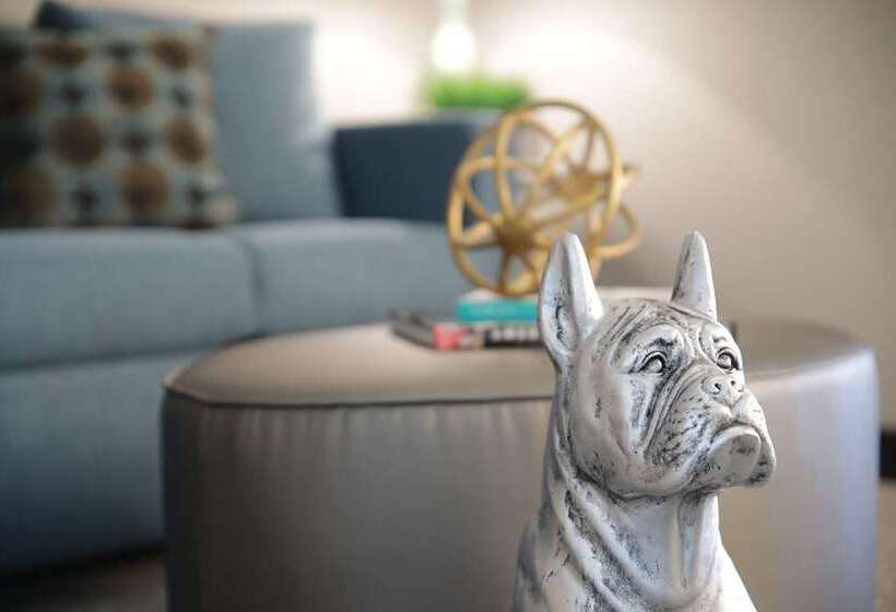 اتاق استاندارد, Hilton Bellevue