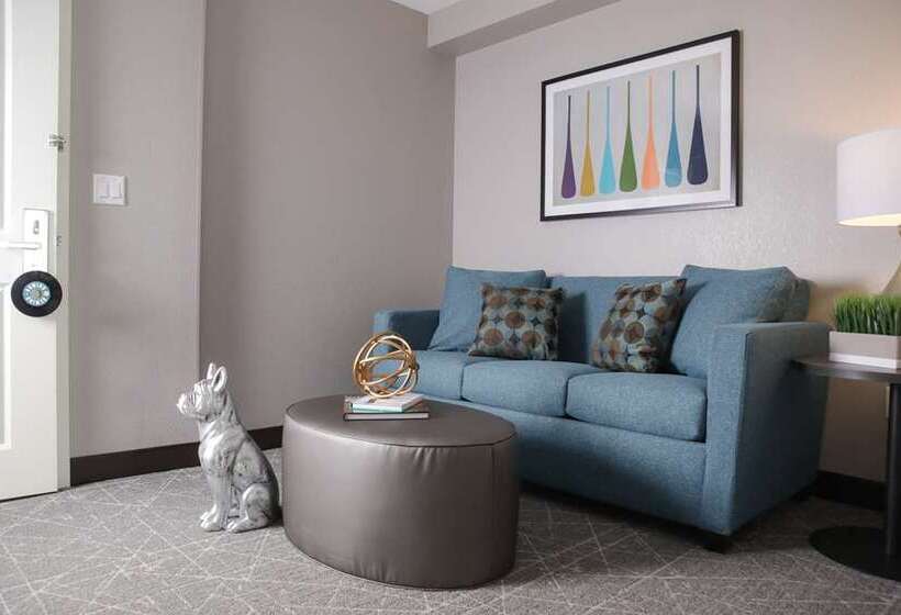 اتاق استاندارد, Hilton Bellevue