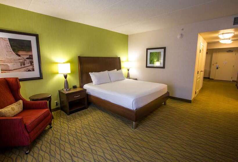 اتاق استاندارد, Hilton Bellevue