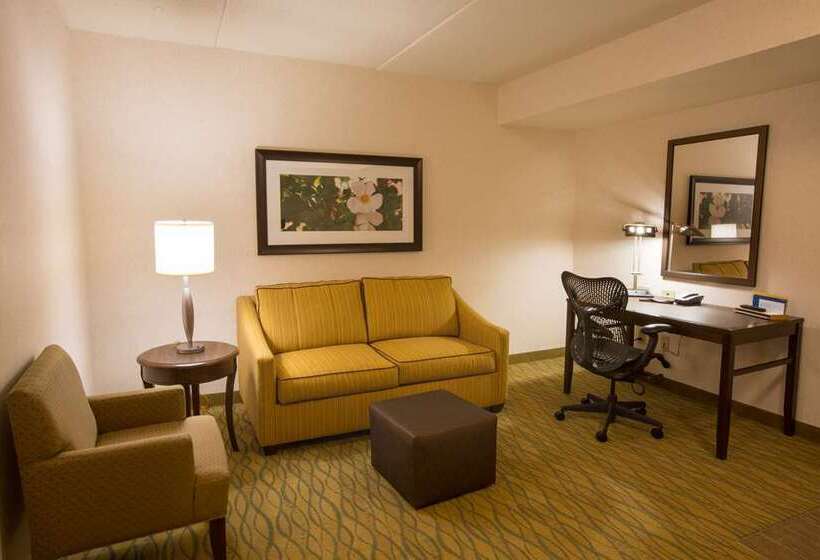 اتاق استاندارد, Hilton Bellevue