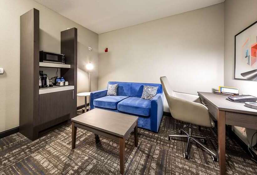 اتاق استاندارد, Hilton Bellevue