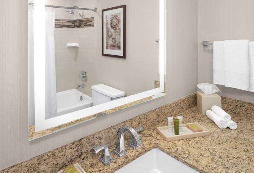 اتاق استاندارد با 2 تخت دوبل, Hilton Los Angeles/universal City