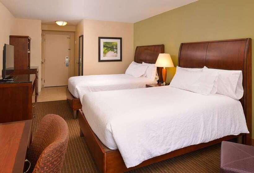 اتاق استاندارد با 2 تخت دوبل, Hilton Los Angeles/universal City