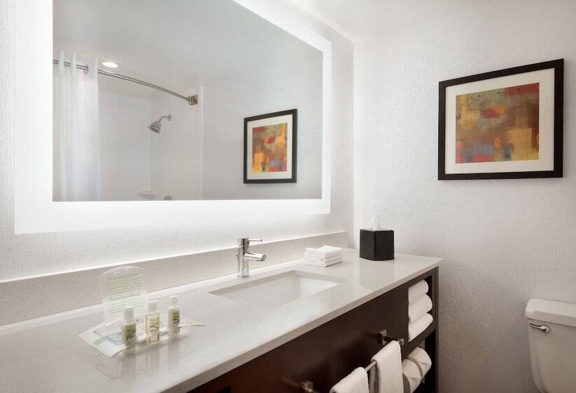 اتاق استاندارد با 2 تخت دوبل, Holiday Inn Rock Island Quad Cities, An Ihg