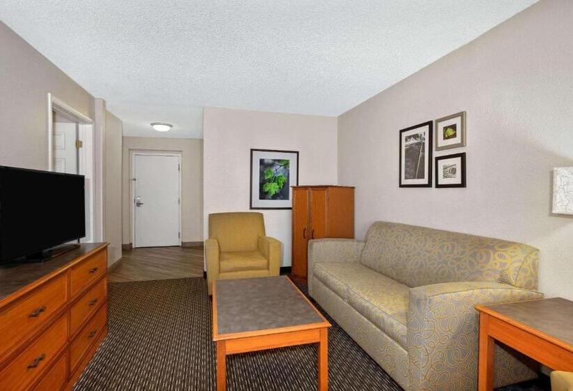 سوئیت با تخت بزرگ, La Quinta Inn By Wyndham Tucson East