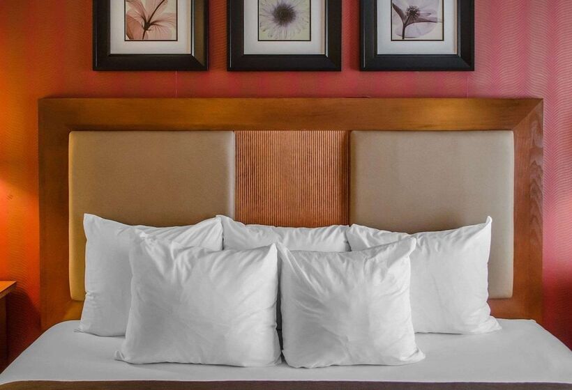 اتاق استاندارد با تخت دوبل برای معلولان, Quality Inn Riverfront