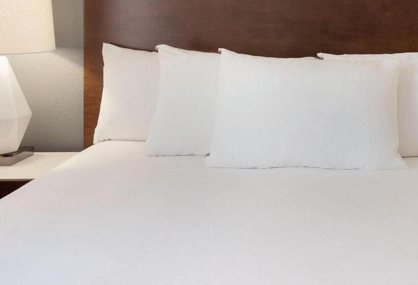장애인을 위한 스탠다드 룸, Radisson Hotel Bismarck