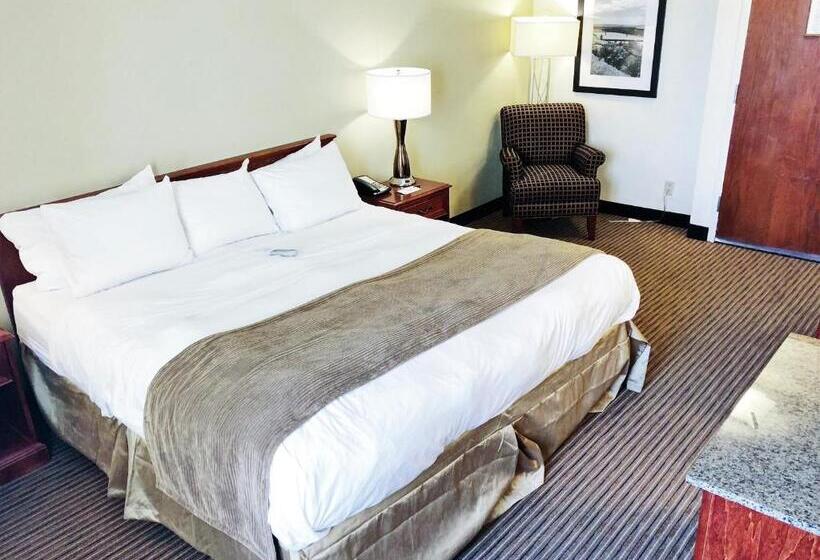 스탠다드 룸 킹사이즈 침대, Radisson Hotel Bismarck
