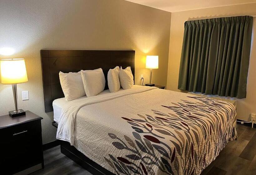 디럭스 룸 킹사이즈 침대, Red Roof Inn Kimball, Tn I 24