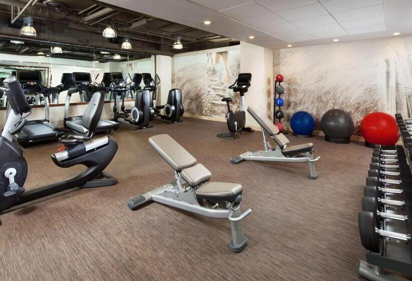 سوئیت با تخت بزرگ, The Westin San Jose
