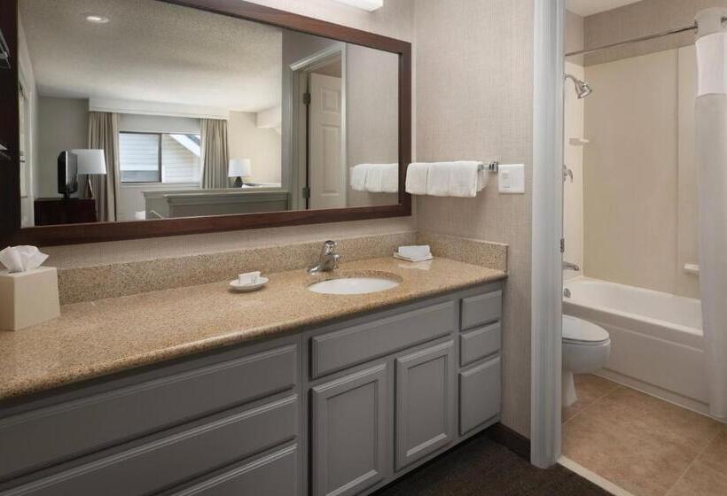 2 Bedroom Suite, Residence Inn Seattle Bellevue