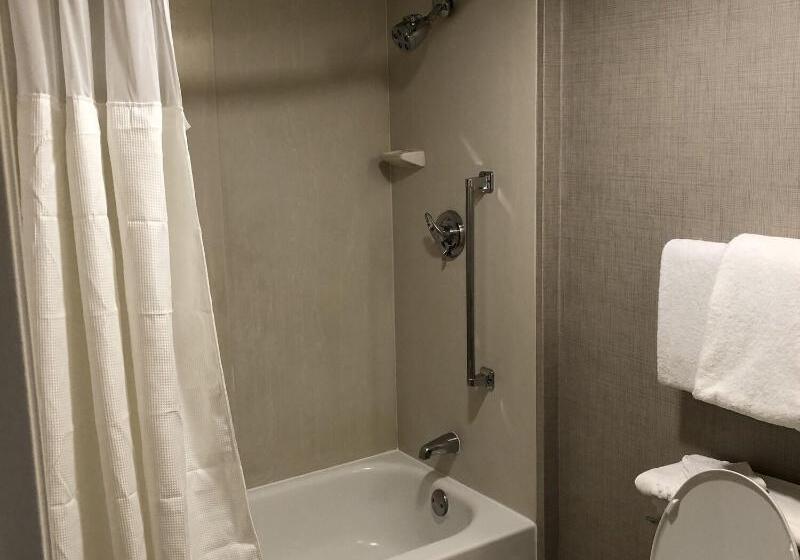 استودیو استاندارد با تخت کینگ, Residence Inn By Marriott Seattle/bellevue