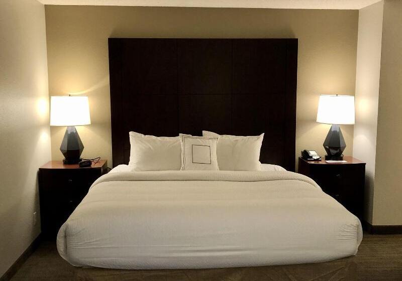 Standard Studio King Bed, Residence Inn Seattle Bellevue