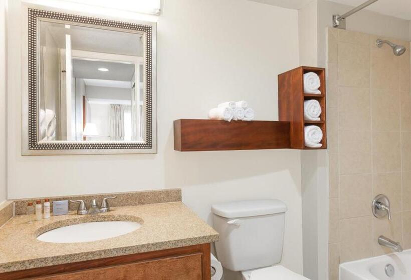 Deluxe Suite King Bed, Hawthorn Suites By Wyndham North Charleston