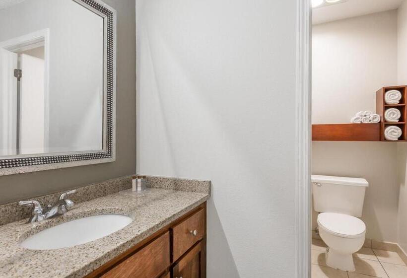 Deluxe Suite King Bed, Hawthorn Suites By Wyndham North Charleston