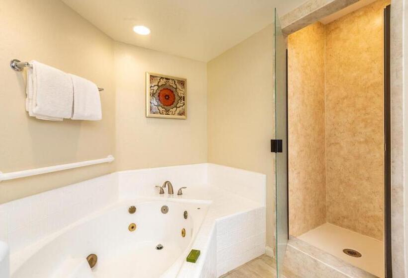 ویلای 2 خوابه, Scottsdale Camelback Resort
