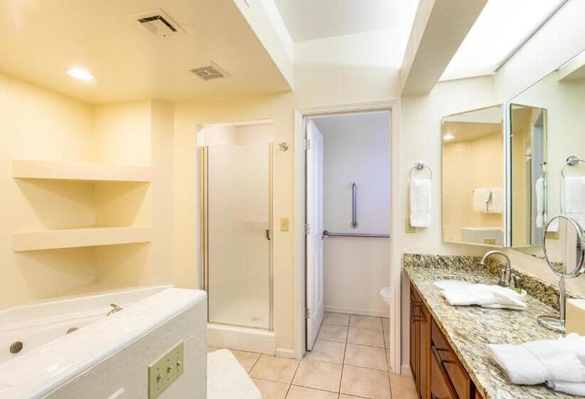 ویلا دلوکس 2 خوابه, Scottsdale Camelback Resort