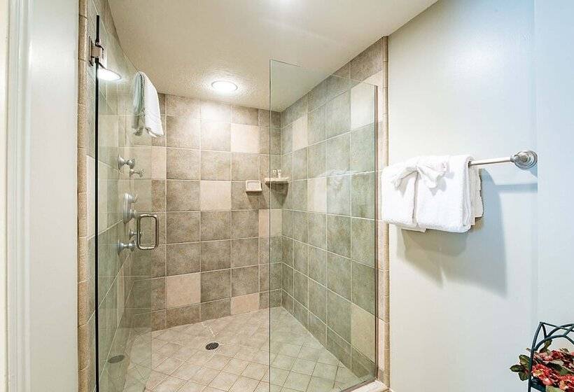 اتاق استاندارد, Shadow Ridge By All Seasons Resort Lodging