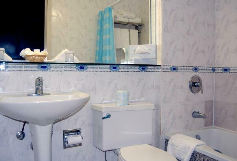 اتاق استاندارد با 2 تخت دوبل, Congress Plaza Hotel Chicago