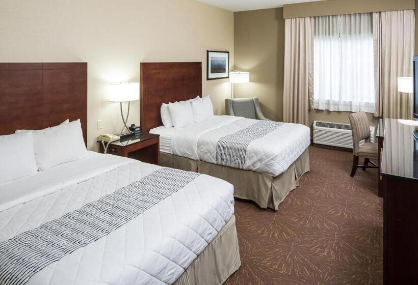 Quarto standard, 1620 Plymouth Harbor