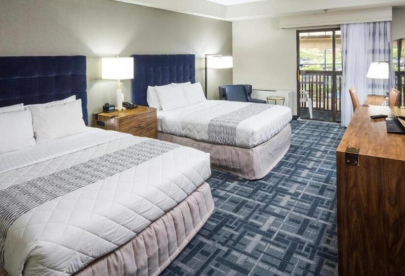 Quarto standard, 1620 Plymouth Harbor