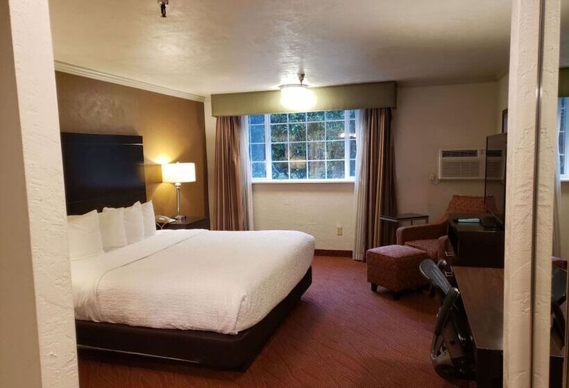 اتاق استاندارد با تخت دوبل, Best Western Plus Parkway Inn