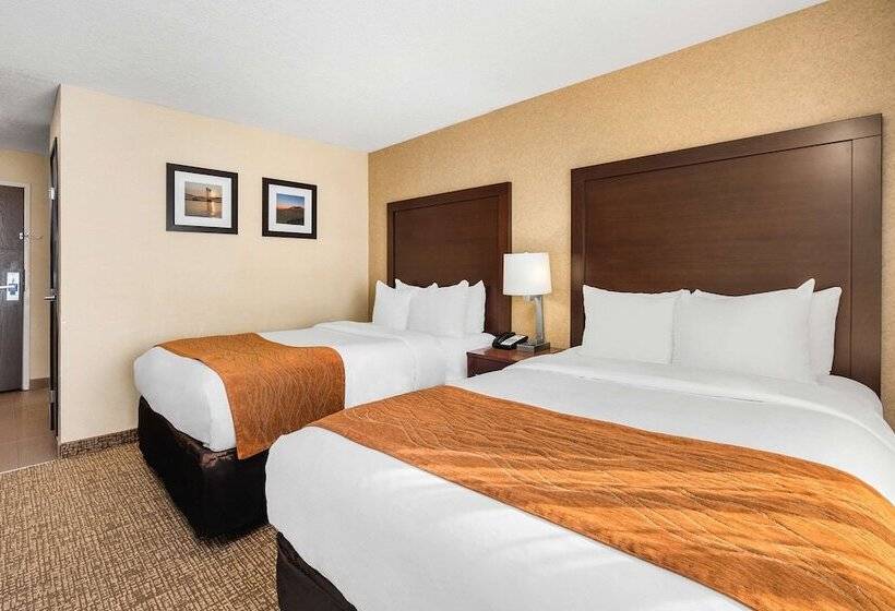 اتاق استاندارد با 2 تخت دوبل, Comfort Inn & Suites Vancouver Downtown City Center