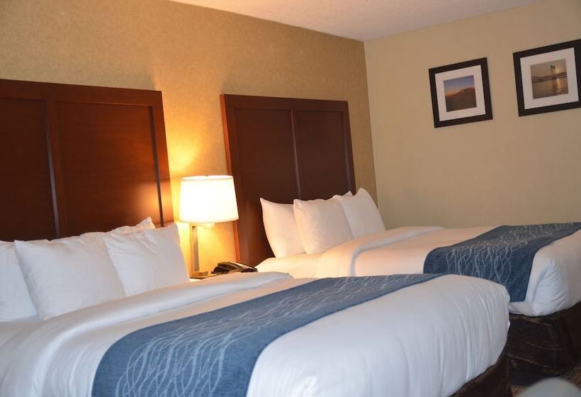 اتاق استاندارد با 2 تخت دوبل, Comfort Inn & Suites Vancouver Downtown City Center