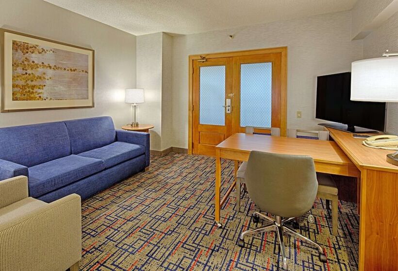 Suite, Embassy Suites By Hilton Chicago O Hare Rosemont