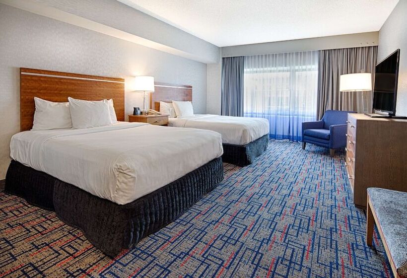 Suite Accessibile ai persone con mobilità ridotta, Embassy Suites By Hilton Chicago O Hare Rosemont