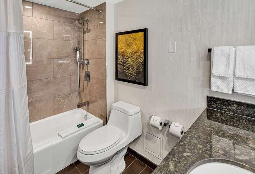 سوئیت جونیور با تخت بزرگ, Hilton Boston Logan Airport