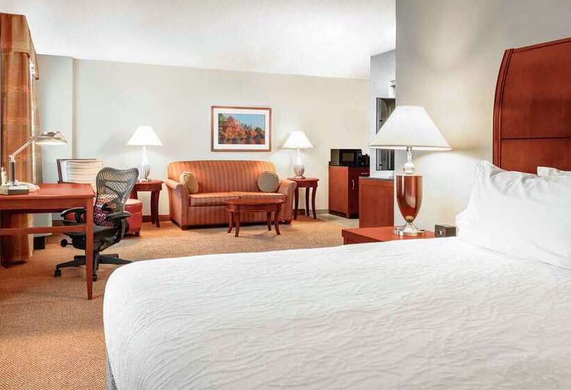 سوئیت جونیور با تخت بزرگ, Hilton Boston Logan Airport
