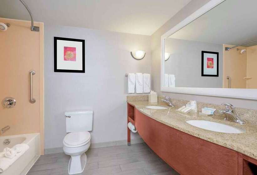 سوئیت جونیور با تخت بزرگ, Hilton Boston Logan Airport