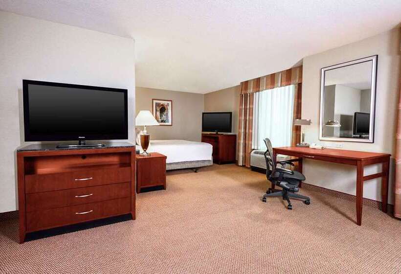 سوئیت جونیور با تخت بزرگ, Hilton Boston Logan Airport