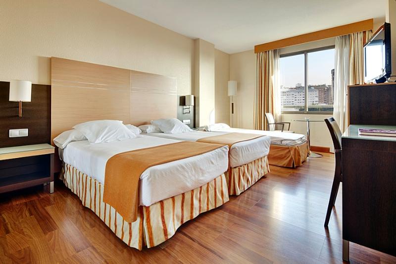 Cameră Standard, Hilton Palacio Del Rio