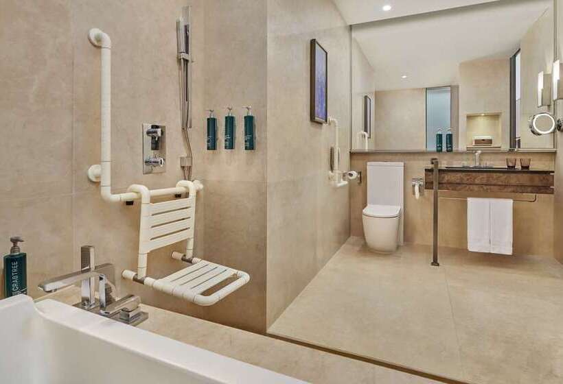 اتاق لوکس با تخت بزرگ, Hilton St. Louis Frontenac