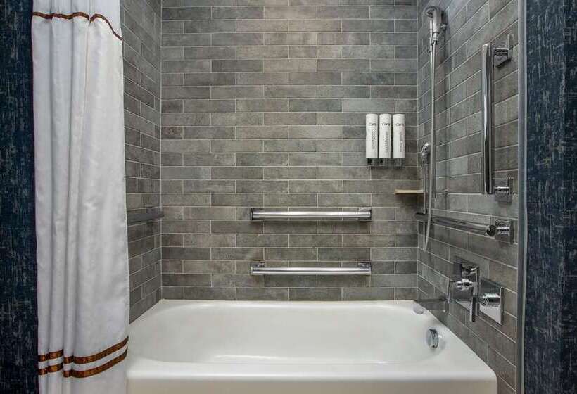 اتاق لوکس با تخت بزرگ, Hilton St. Louis Frontenac