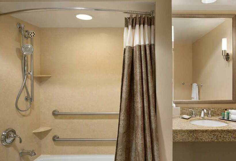 اتاق لوکس با تخت بزرگ, Hilton St. Louis Frontenac