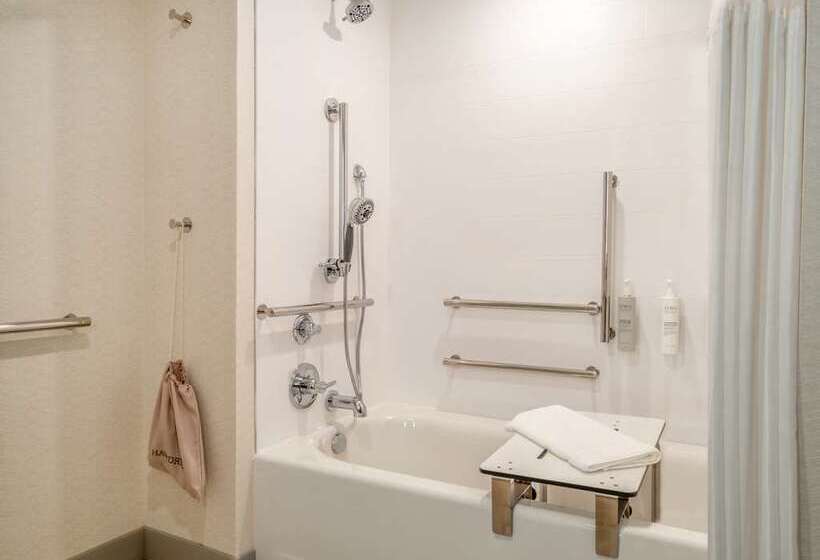 اتاق لوکس با تخت بزرگ, Hilton St. Louis Frontenac