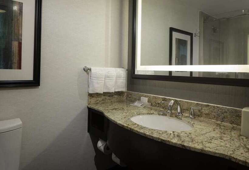 اتاق لوکس با تخت بزرگ, Hilton St. Louis Frontenac