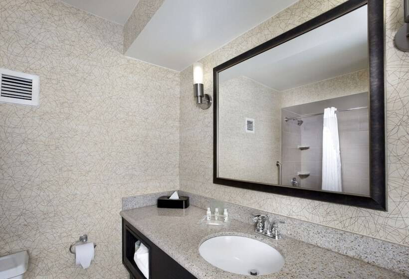 اتاق استاندارد با 2 تخت دوبل, Holiday Inn Johnson City, An Ihg