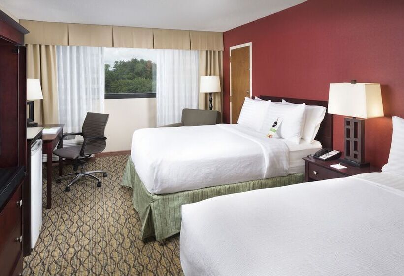 اتاق استاندارد با 2 تخت دوبل, Holiday Inn Johnson City, An Ihg