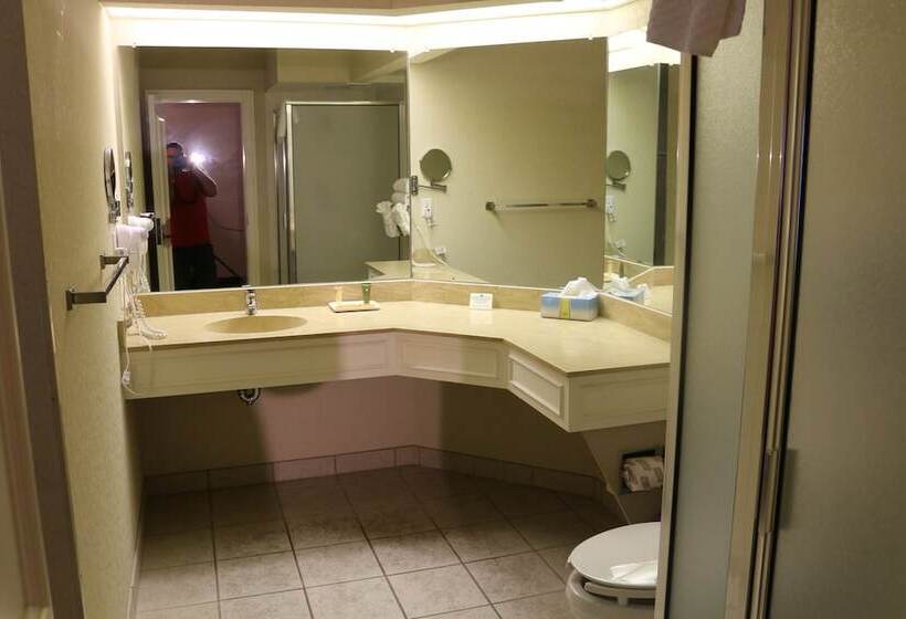 سوییت اجرایی, Imperial Swan Hotel And Suites Lakeland