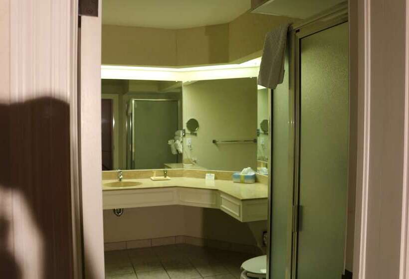 سوییت اجرایی, Imperial Swan Hotel And Suites Lakeland