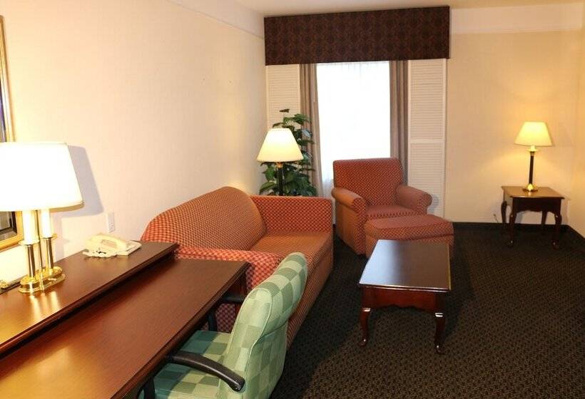 سوییت اجرایی, Imperial Swan Hotel And Suites Lakeland