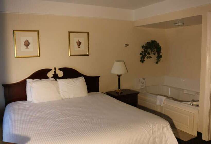 سوییت اجرایی, Imperial Swan Hotel And Suites Lakeland