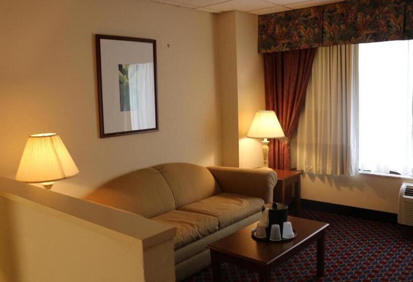 اتاق استاندارد با تخت بزرگ, Imperial Swan Hotel And Suites Lakeland